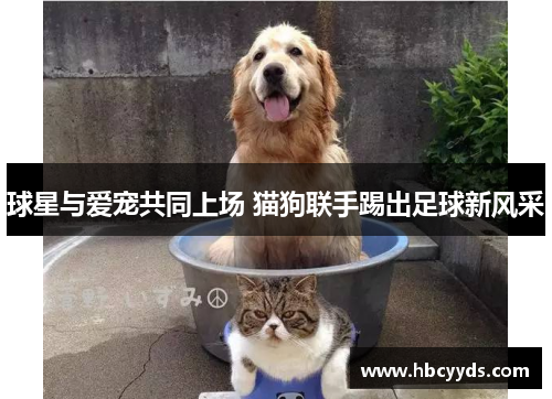 球星与爱宠共同上场 猫狗联手踢出足球新风采