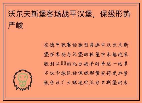 沃尔夫斯堡客场战平汉堡，保级形势严峻